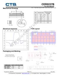 CER0237B Datasheet Page 2