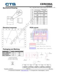 CER0398A Datasheet Page 2