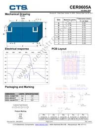 CER0605A Datasheet Page 2