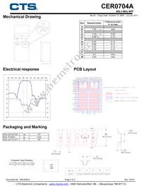CER0704A Datasheet Page 2