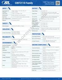 CINT3110A1908K01 Datasheet Page 2