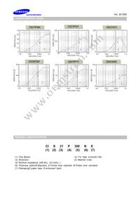 CIS21P300NE Datasheet Page 2