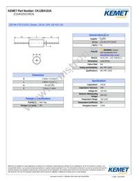 CK12BX101K Datasheet Cover