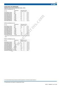CK45-E3FD103ZYNN Datasheet Page 2