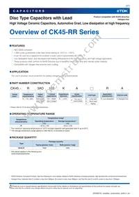 CK45-R3DD102KAVRA Datasheet Page 3