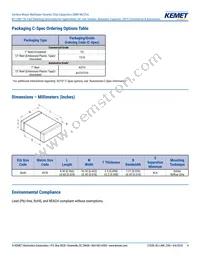 CKC33C224FCGACAUTO Datasheet Page 4