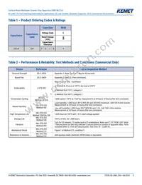 CKC33C224FCGACAUTO Datasheet Page 5