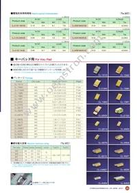 CL-270S-WS-SD-TS Datasheet Page 2