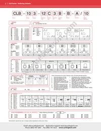 CLB-403-12C3N-B-A/40 Datasheet Page 2
