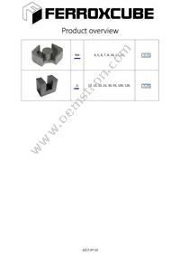 CLI-RM8/I-C Datasheet Page 3