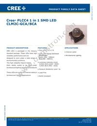CLM2C-GCA-CYBB0793 Cover