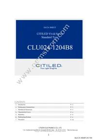 CLU024-1204B8-LPGV1F7 Datasheet Cover