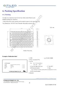 CLU024-1204B8-LPGV1F7 Datasheet Page 9
