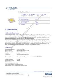 CLU027-0303C1-403H5G3 Datasheet Page 2