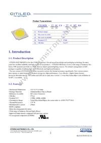 CLU028-1201C4-303H7K4 Datasheet Page 2