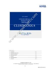 CLU028-1202C4-273H5K2 Datasheet Cover