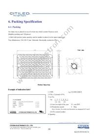 CLU028-1202C4-273H5K2 Datasheet Page 10