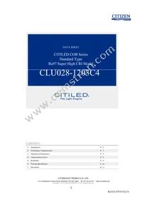 CLU028-1203C4-303H7K4 Datasheet Cover
