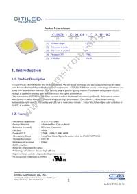 CLU028-1204C4-273H5K2 Datasheet Page 2