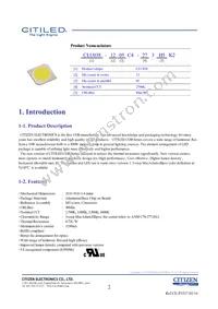 CLU038-1205C4-273H5K2 Datasheet Page 2