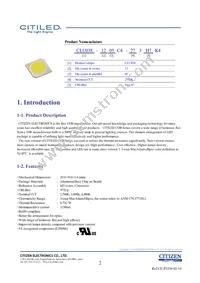 CLU038-1205C4-403H7K4 Datasheet Page 2