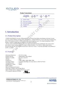 CLU038-1208C4-403H5K2 Datasheet Page 2