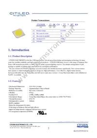 CLU038-1208C4-403H7K4 Datasheet Page 2