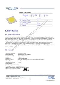 CLU048-1212C4-403H7K4 Datasheet Page 2