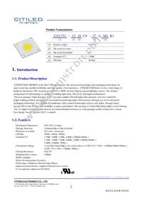 CLU731-1210C4-403H5K2 Datasheet Page 2