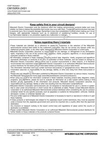 CM150RX-24S1 Datasheet Page 13