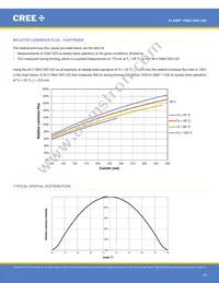 CMA1303-0000-000F0H0A40G Datasheet Page 19