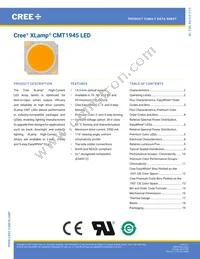 CMT1945-0000-00PN0U0A40G Datasheet Cover