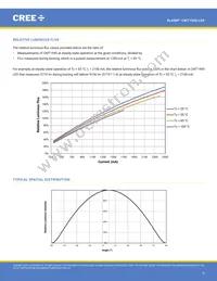 CMT1945-0000-00PN0U0A40G Datasheet Page 9