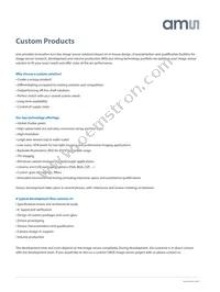 CMV4000-2E5M1PN Datasheet Page 19