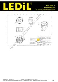 CN15529_GABRIELLA-45-S Datasheet Page 2