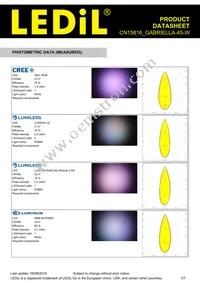 CN15816_GABRIELLA-45-W Datasheet Page 3