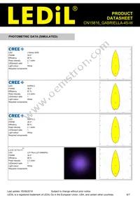 CN15816_GABRIELLA-45-W Datasheet Page 6