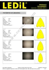 CN16191_WINNIE-WW-C Datasheet Page 3