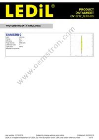 CN16212_SURI-RS Datasheet Page 12
