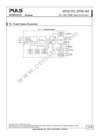 CP10.121 Datasheet Page 12