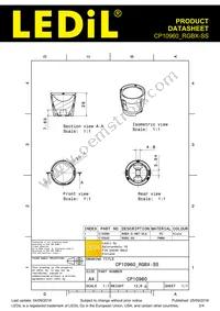 CP10960_RGBX-SS Datasheet Page 2