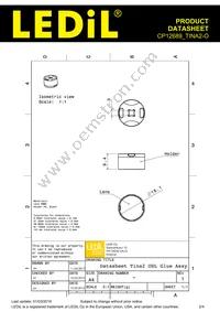 CP12689_TINA2-O Datasheet Page 2