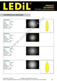 CP12940_LARISA-M-CLIP8 Datasheet Page 6