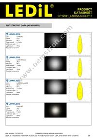 CP12941_LARISA-M-CLIP16 Datasheet Page 5