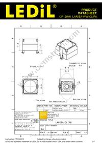 CP12946_LARISA-WW-CLIP8 Datasheet Page 2