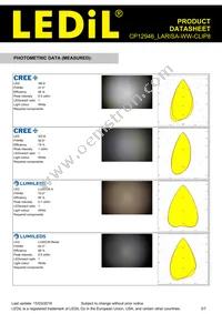 CP12946_LARISA-WW-CLIP8 Datasheet Page 3