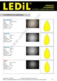 CP12947_LARISA-WW-CLIP16 Datasheet Page 4