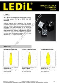 CP13134_LARISA-RS-CLIP16 Datasheet Cover