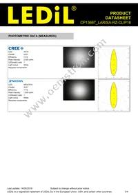 CP13667_LARISA-RZ-CLIP16 Datasheet Page 3