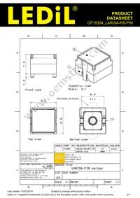 CP15304_LARISA-RS-PIN Datasheet Page 2